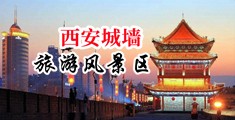 外国美女骚毛网站中国陕西-西安城墙旅游风景区