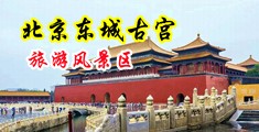 黄色裸爽片中国北京-东城古宫旅游风景区